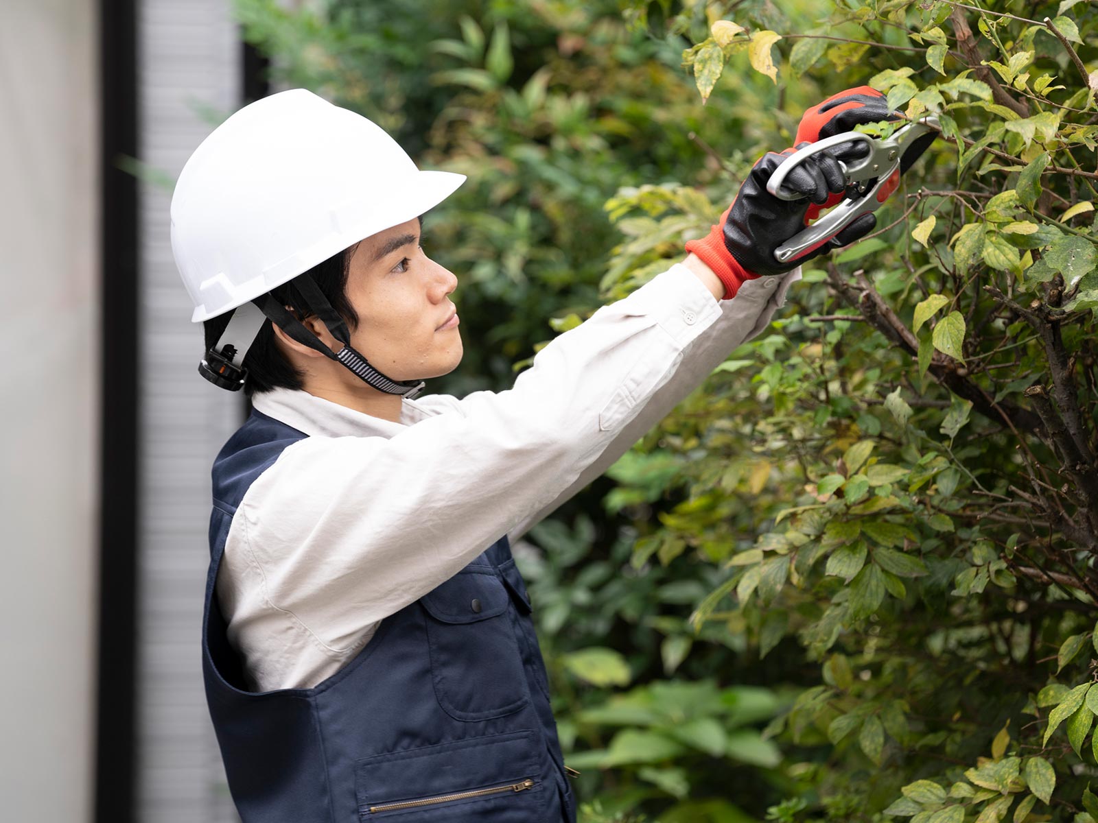 大井町の不動産ならお任せ - アーバンホーム株式会社