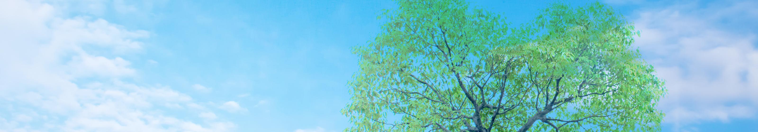 私たちについて - 合同会社Kaede