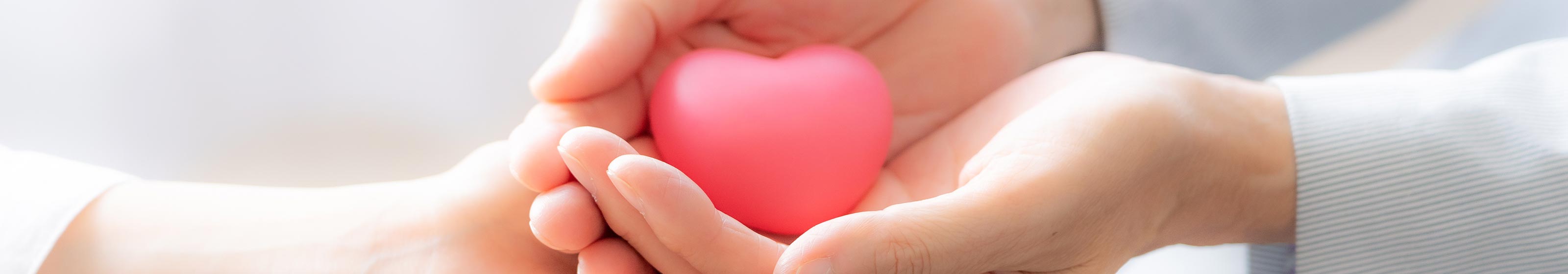 私たちの約束  - 合同会社Kaede