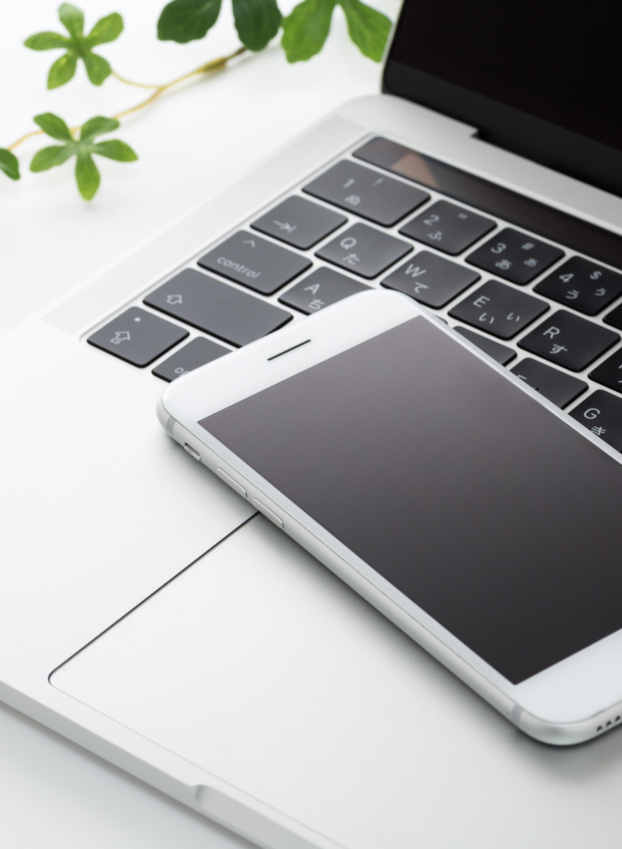 ECコンサルティング - 株式会社MOKANA