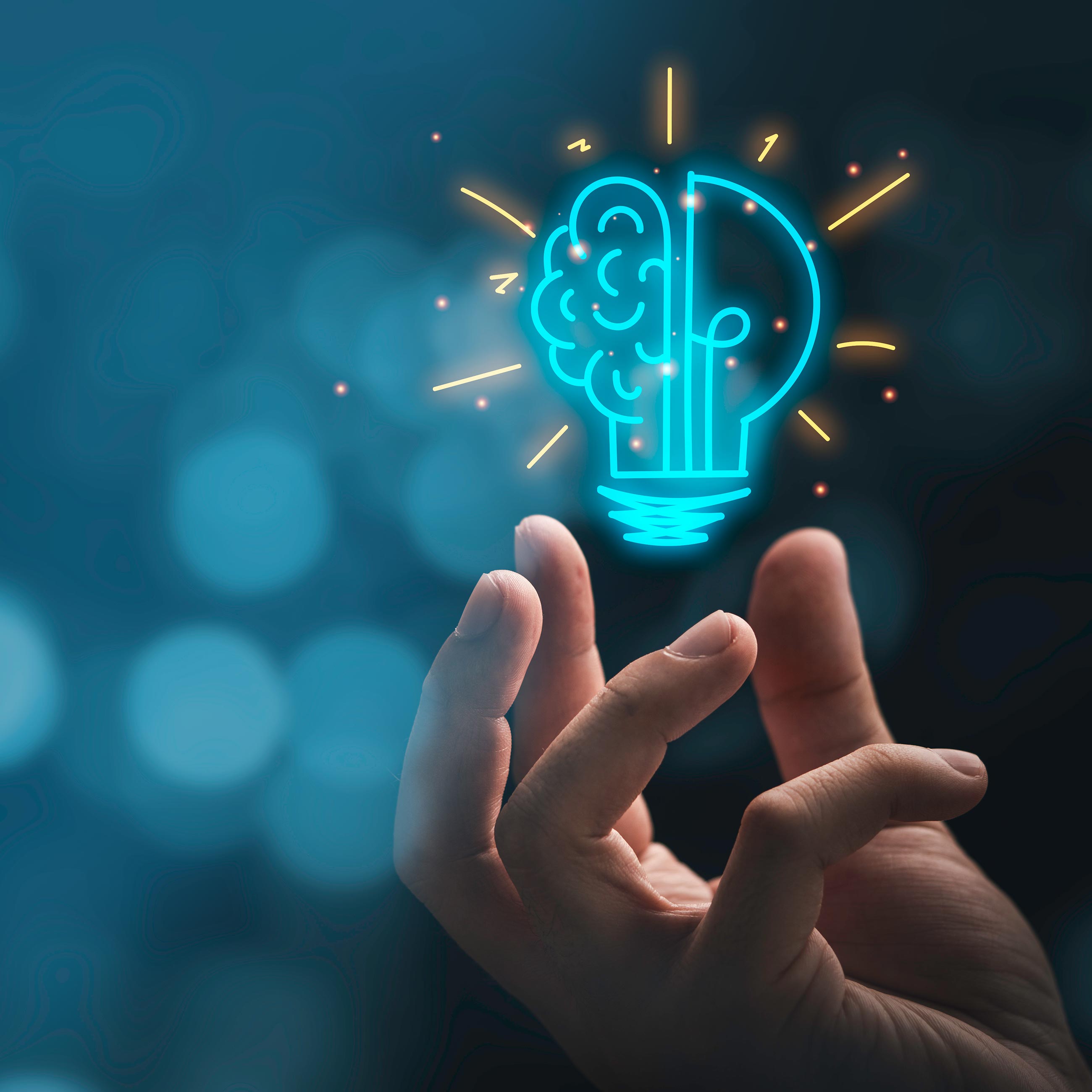 デザイン開発 - 株式会社amurant