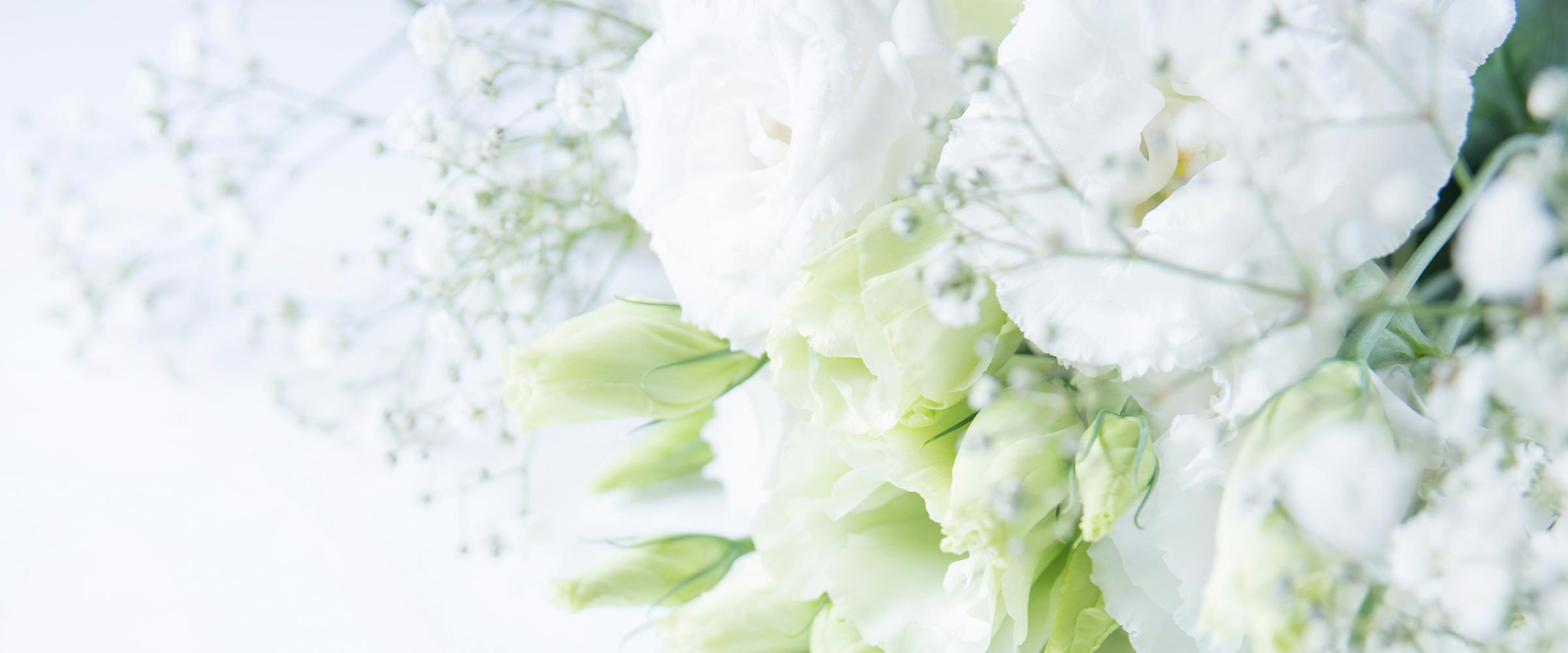 身元保証サービス - 一般社団法人 恵生会