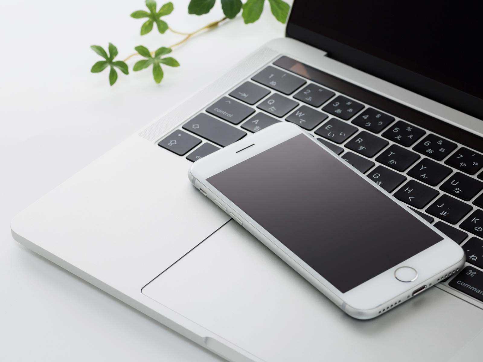 Web制作 - ホミノレンジ