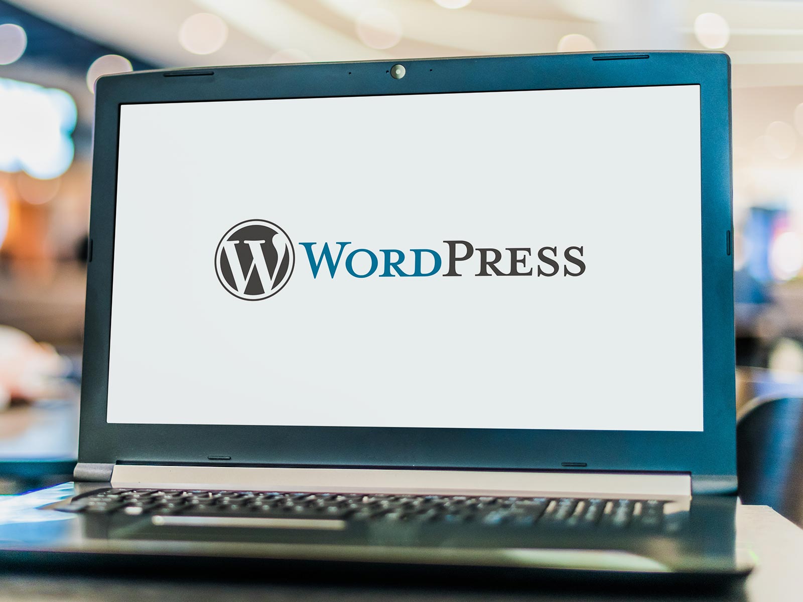 Web制作 - ホミノレンジ