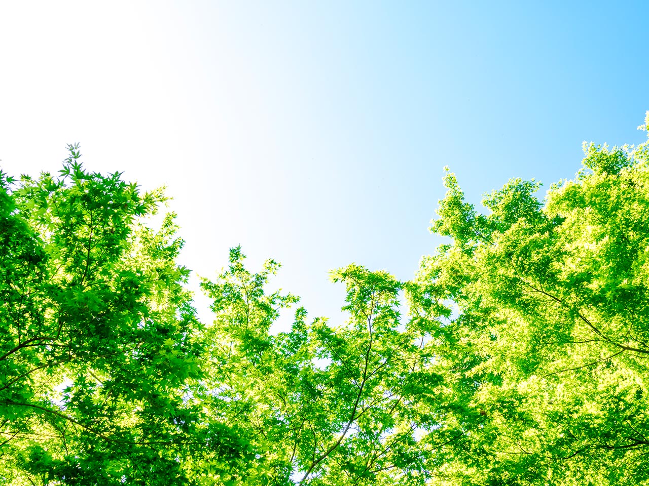 不動産サービス - 株式会社ヒロセイオリ