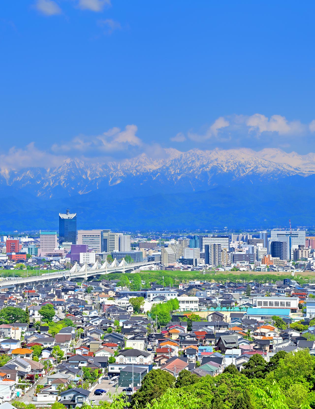 TOP - 板垣知子司法書士事務所