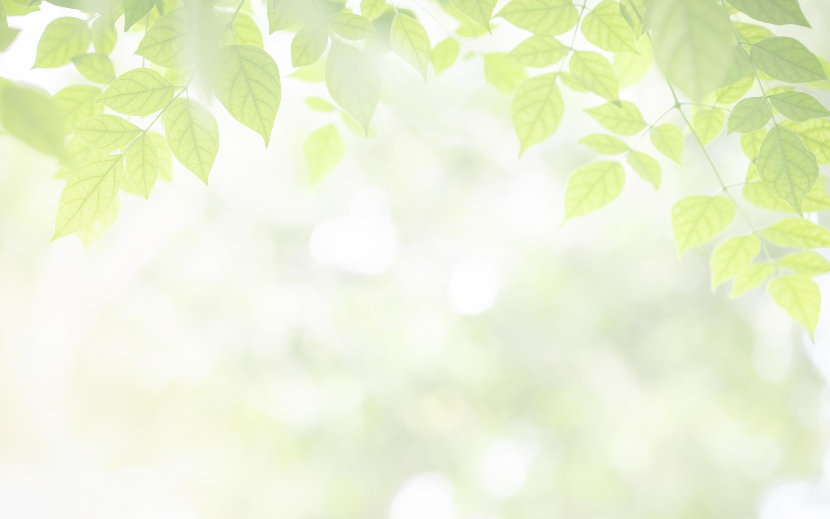 終活・生前整理／防災防犯 - スタートアフレッシュ株式会社