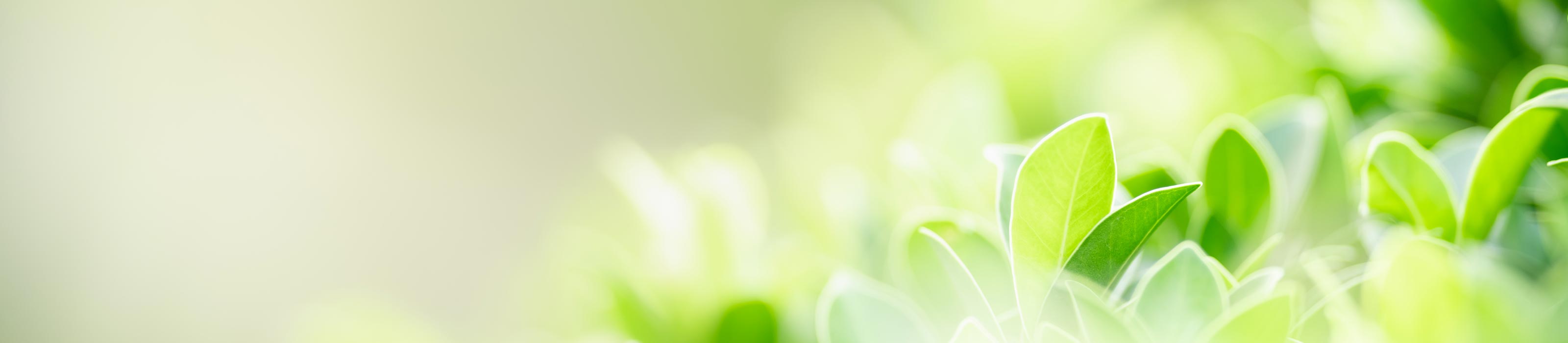 終活・生前整理／防災防犯 - スタートアフレッシュ株式会社