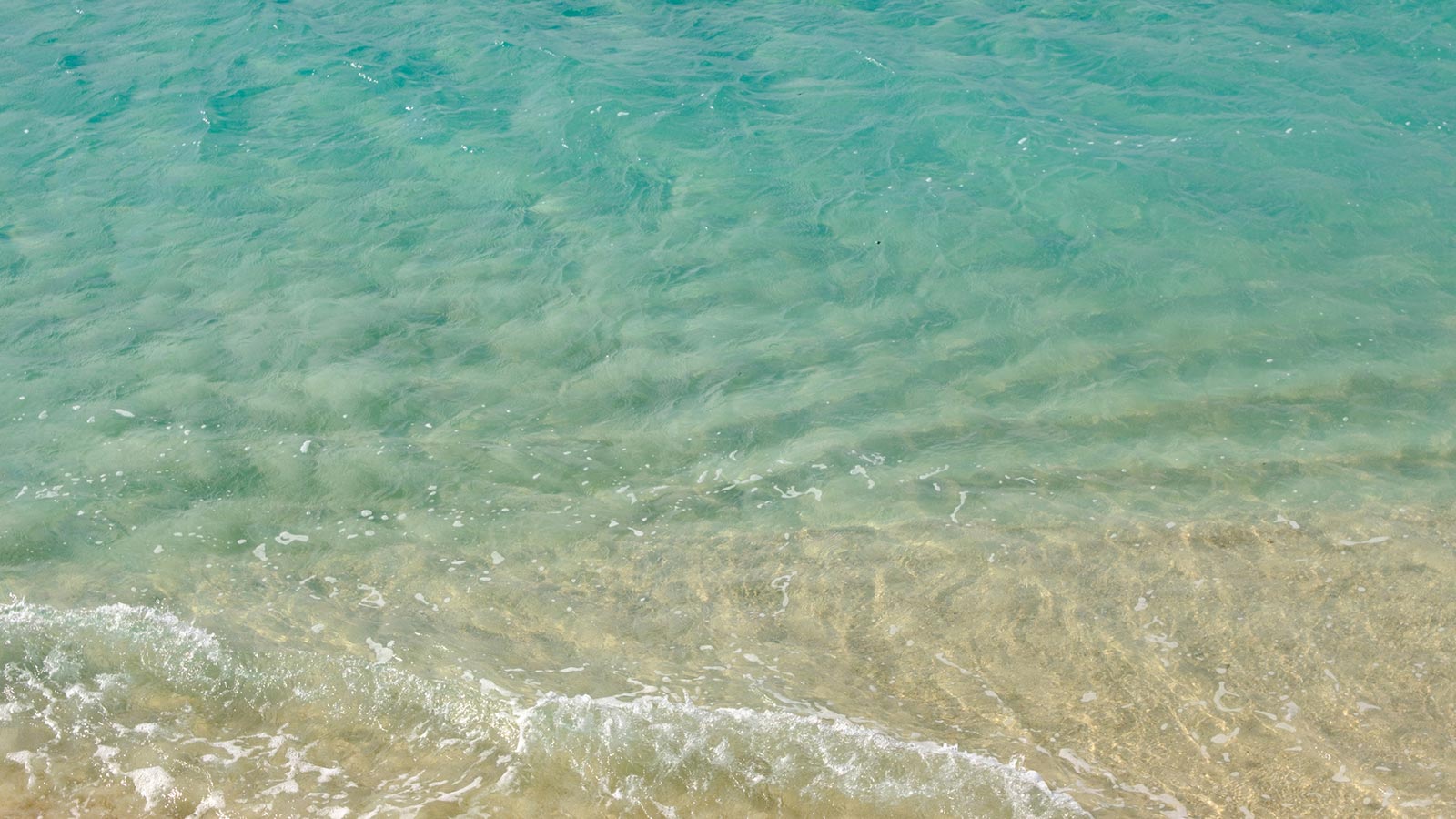 TOP - 宗教法人見松寺