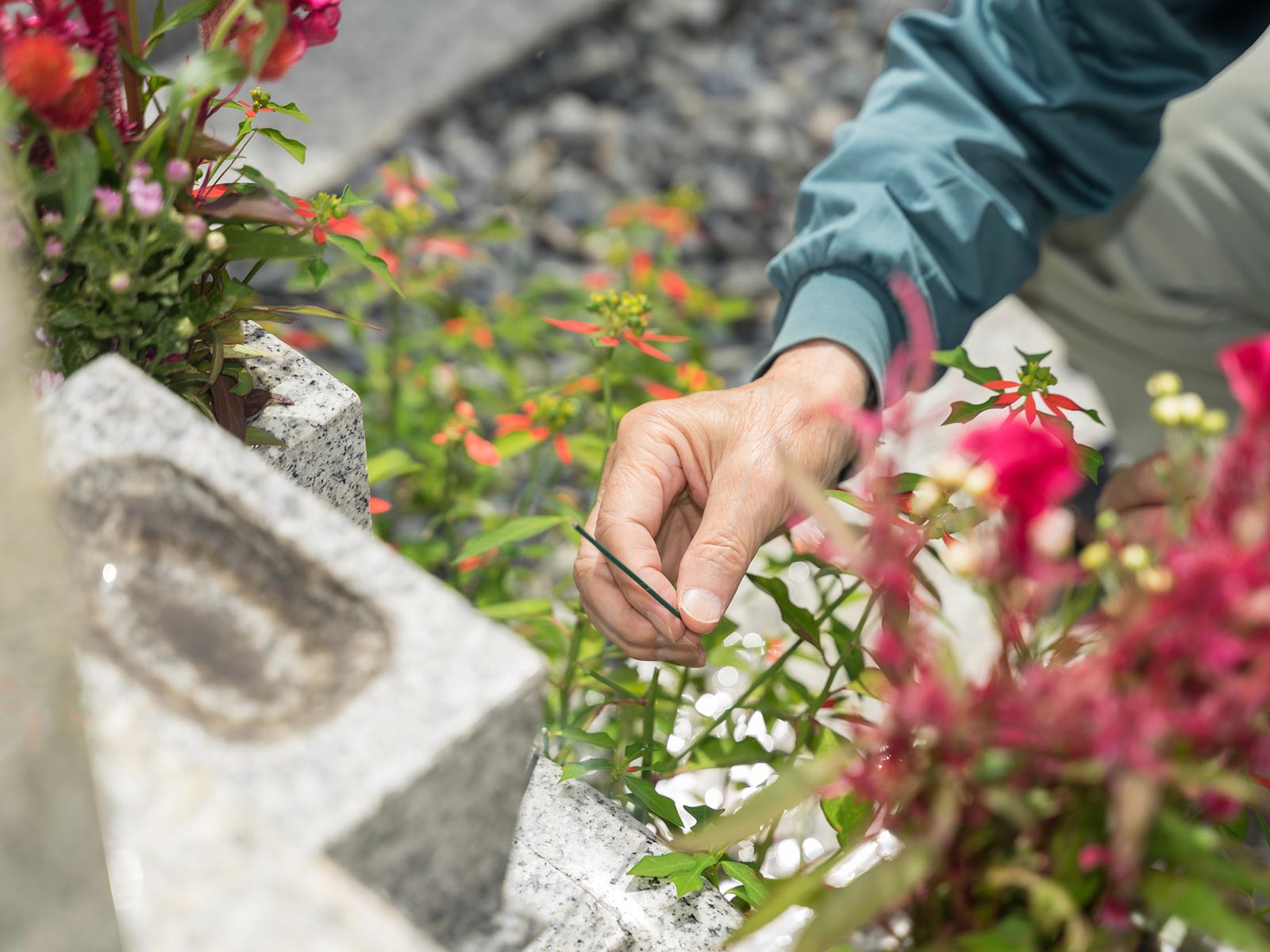 ご見学とご相談 - 宗教法人見松寺