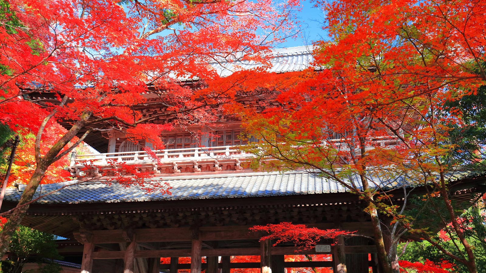 TOP - 宗教法人見松寺