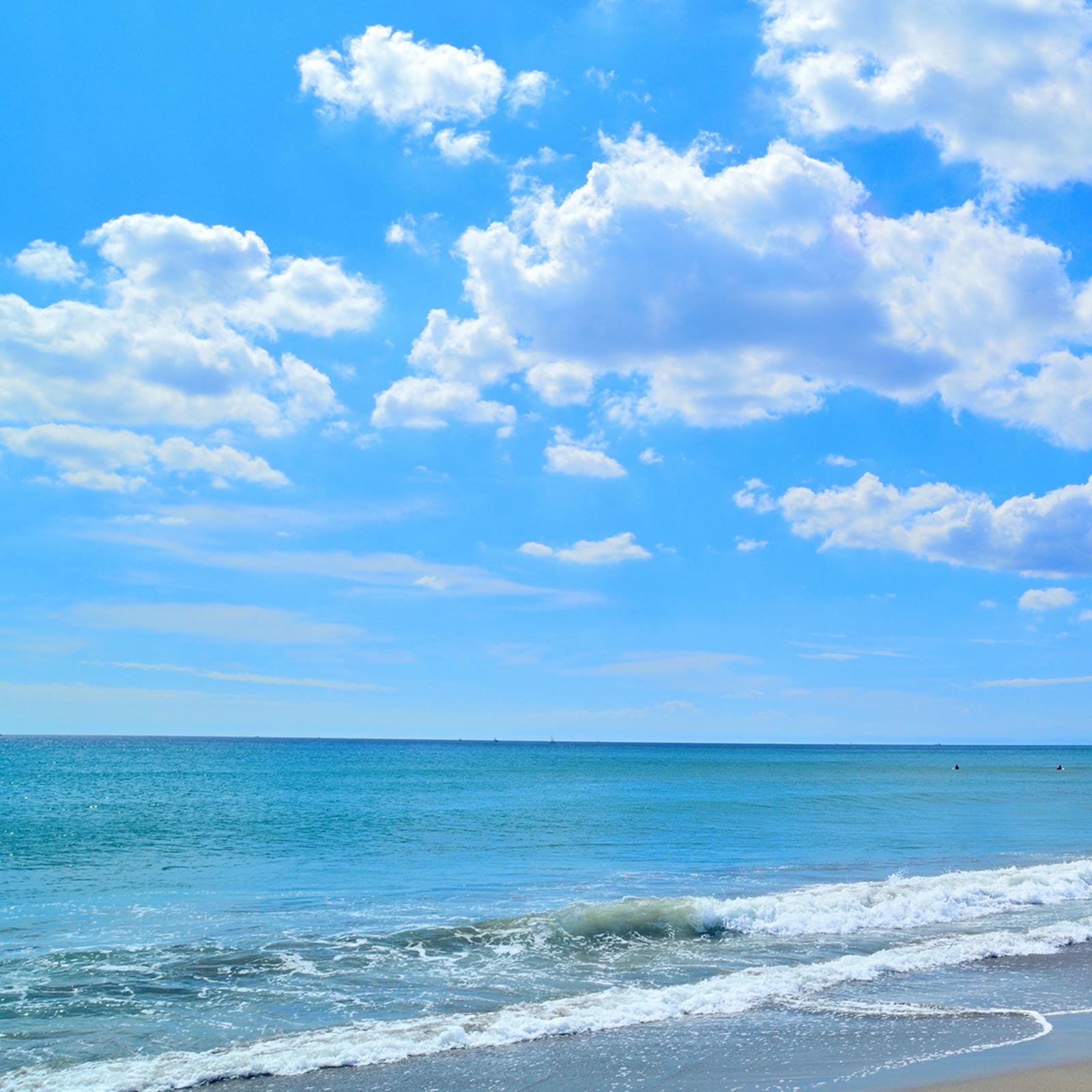 見松寺の想いと景観 - 宗教法人見松寺