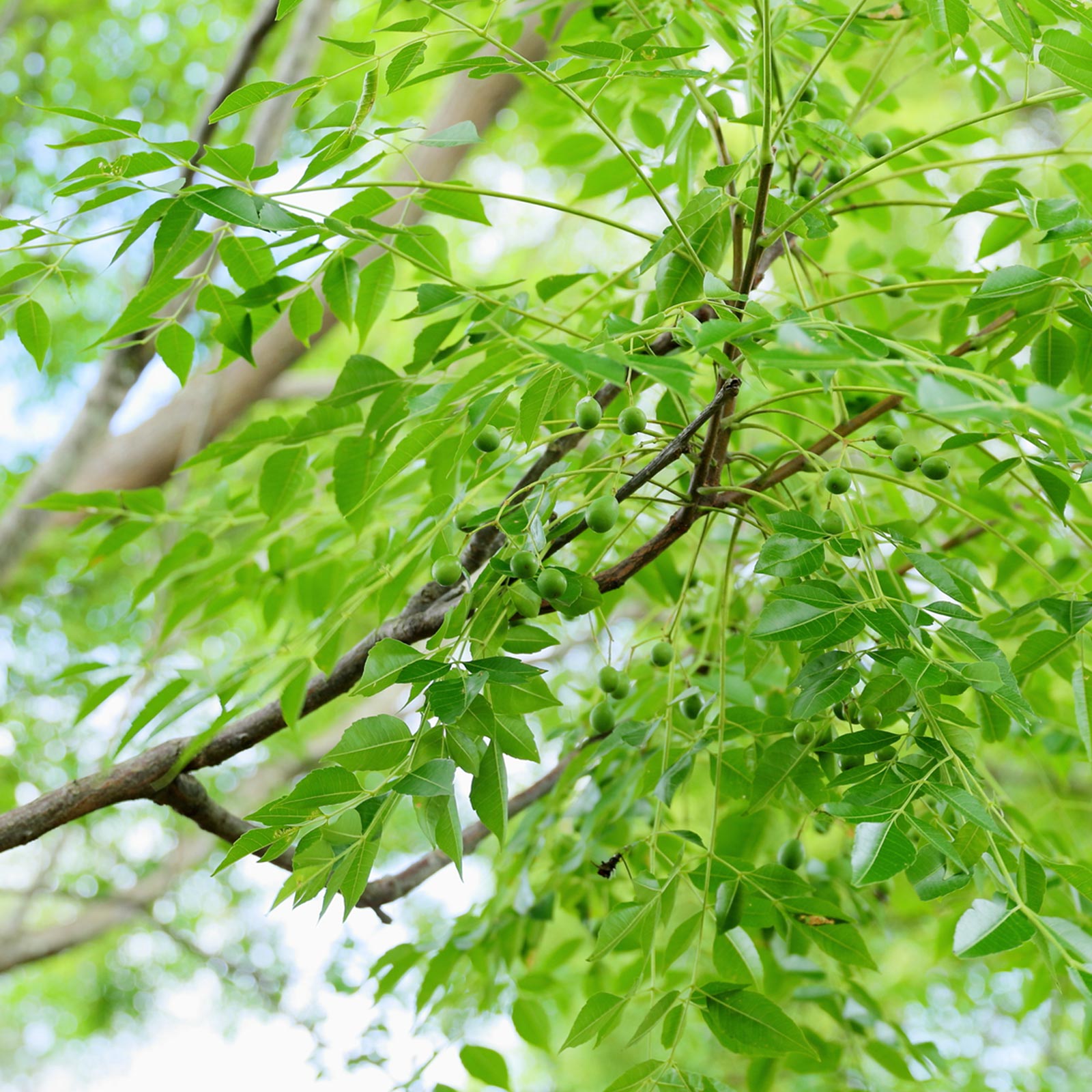 見松寺の想いと景観 - 宗教法人見松寺