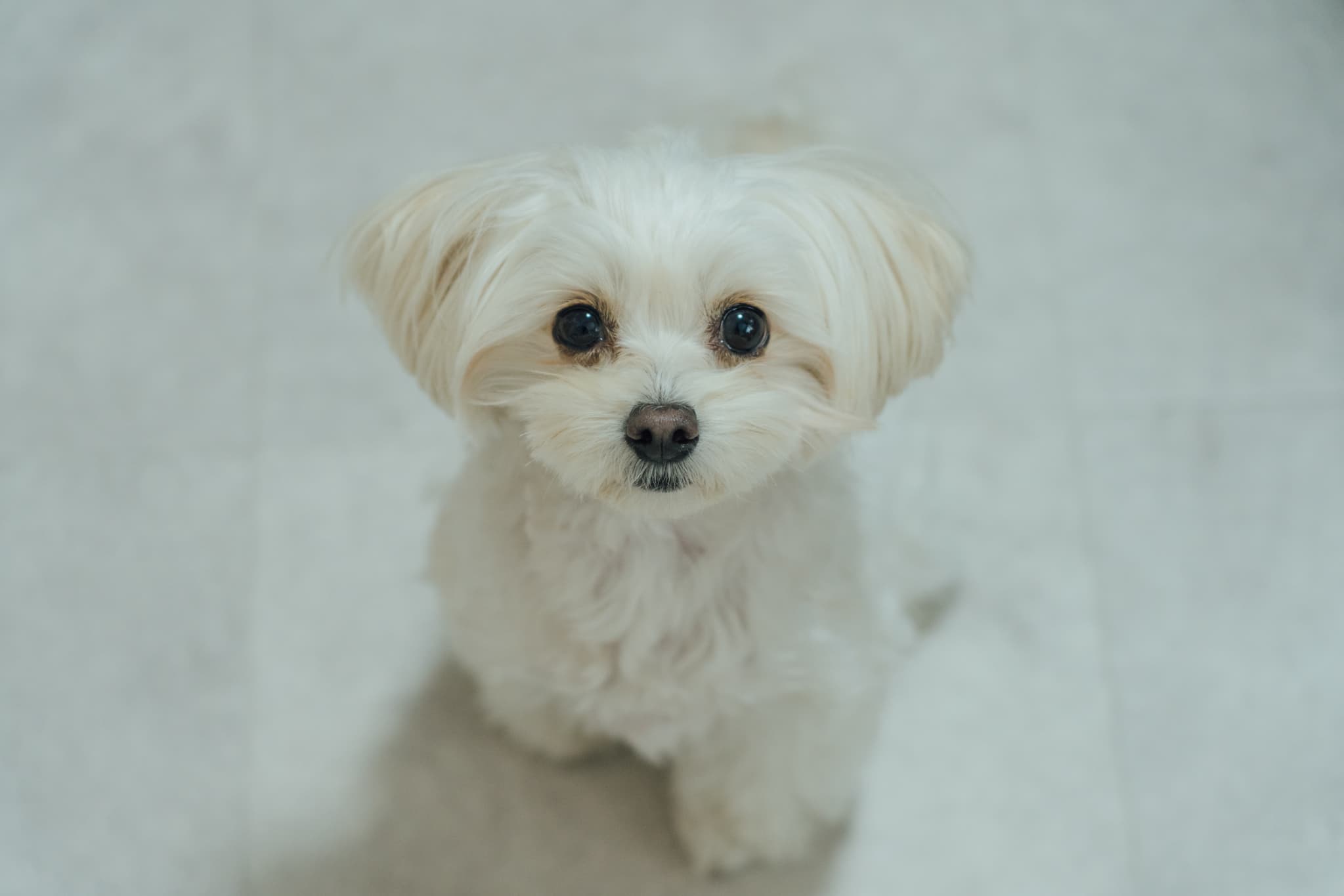 RPA導入支援サービス - 合同会社URU