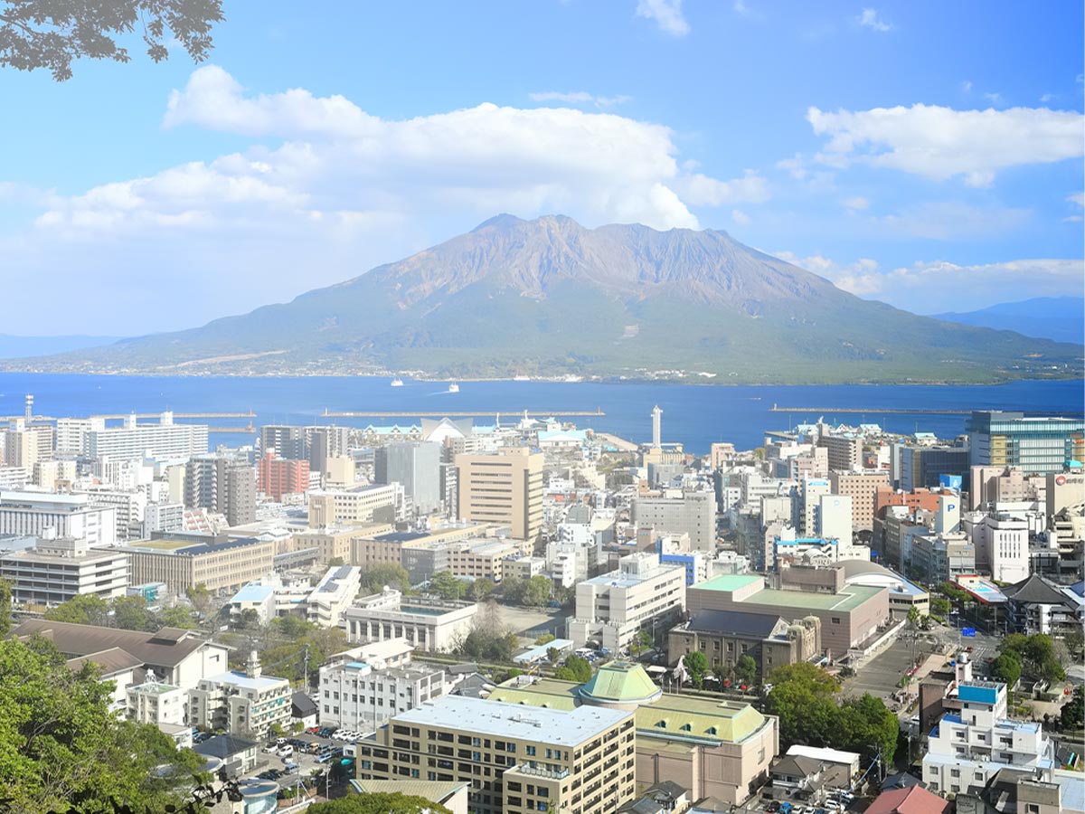 当社について - イデアルライフサポート