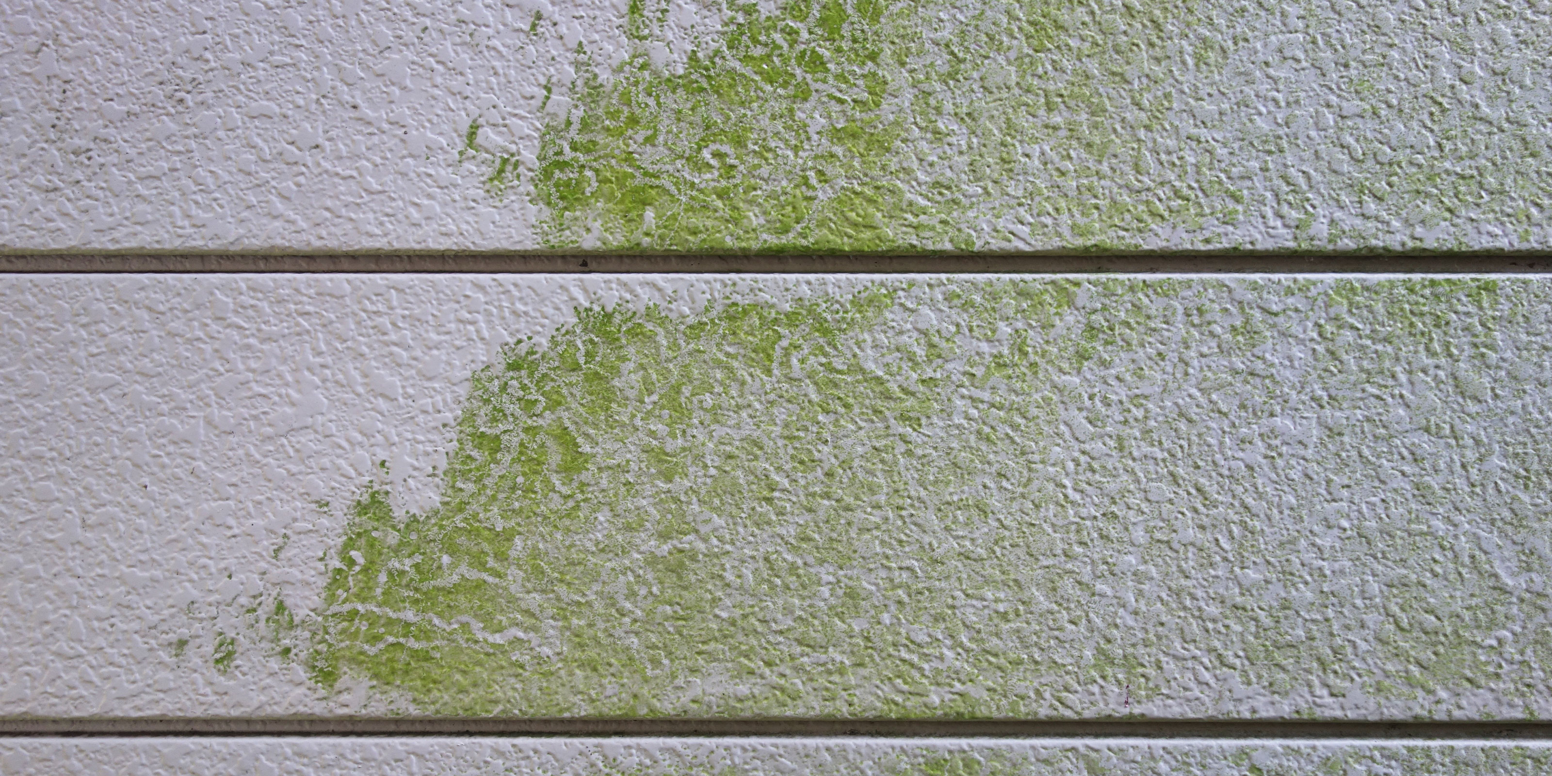 リフォームサービス - 有限会社ピンネシリ