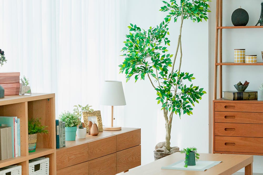 リフォーム - 清水建築