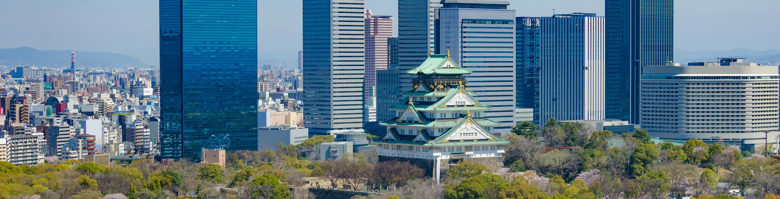 相続お手続き、遺品整理 - 晴行政書士事務所