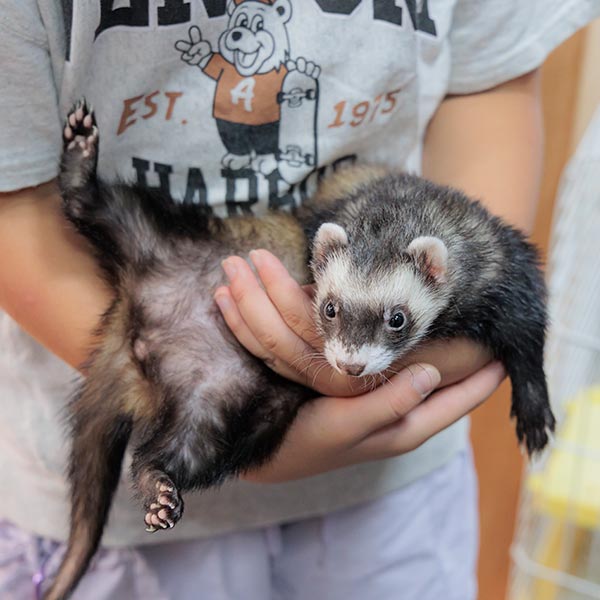 学習サービス - 活塾