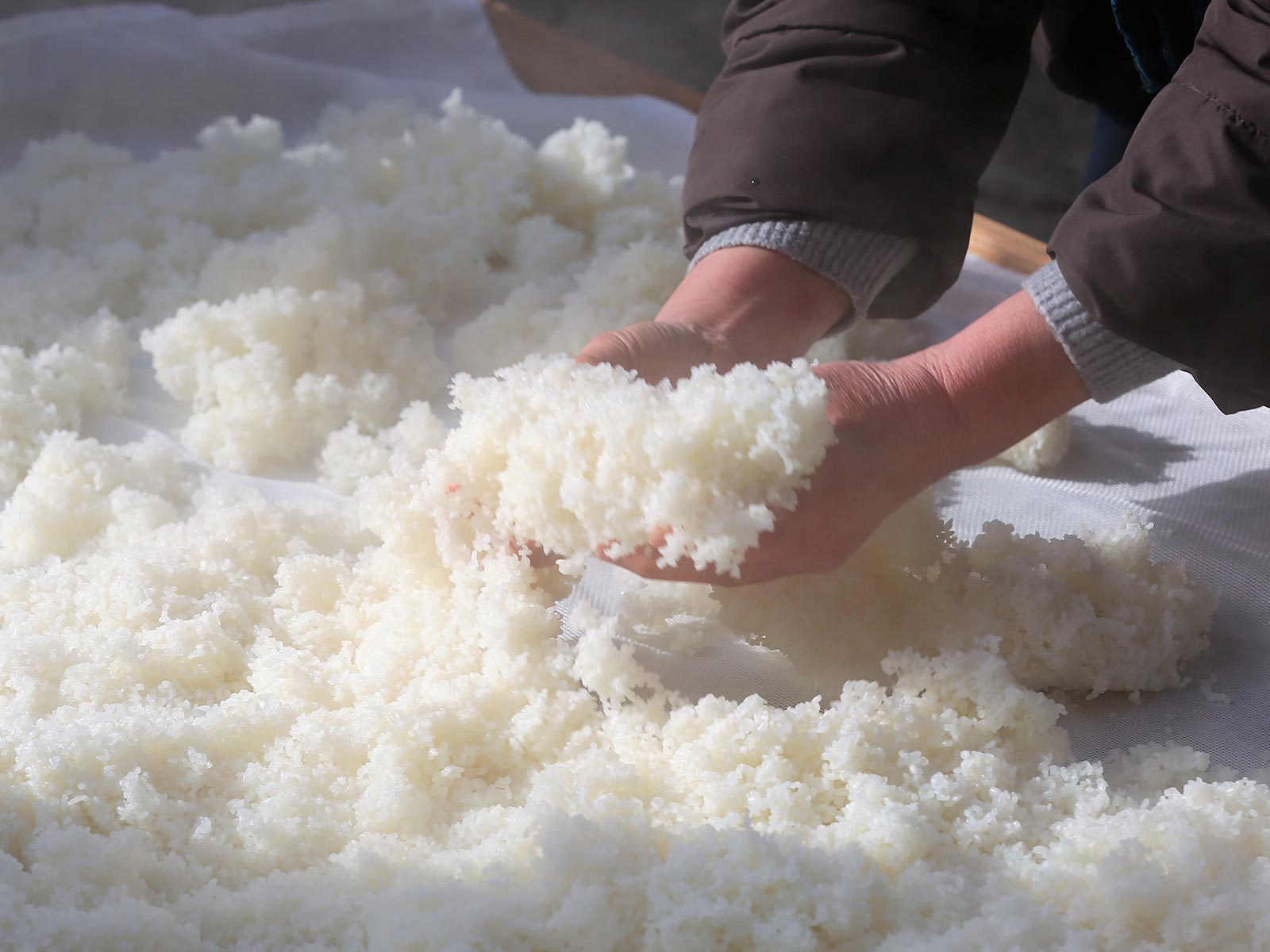 有機甘酒 - 株式会社Libelime