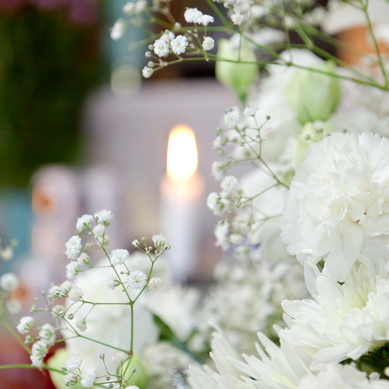 TOP - 宗教法人願重寺