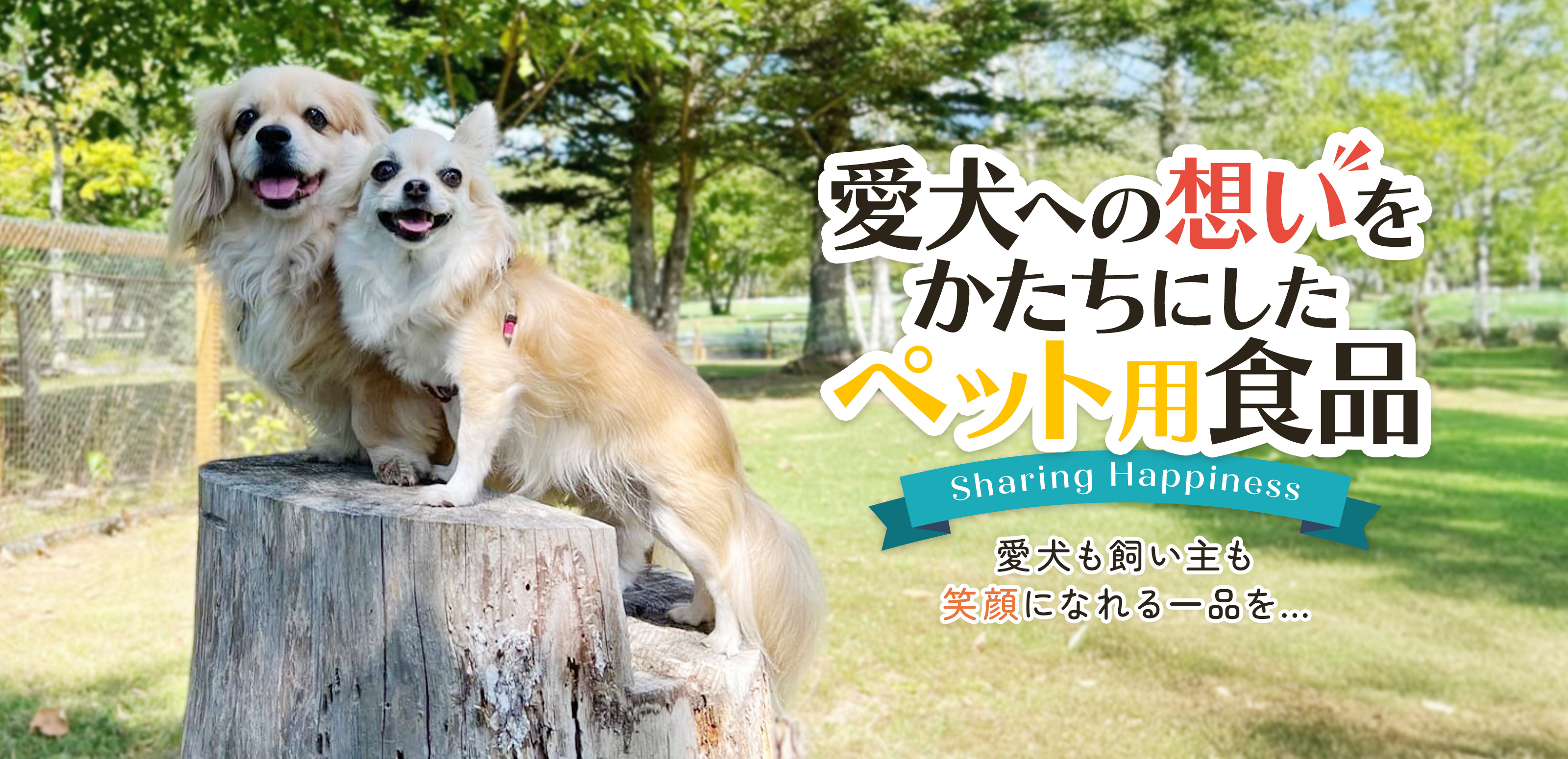 犬用ペットフード - 株式会社ビーブリッジ