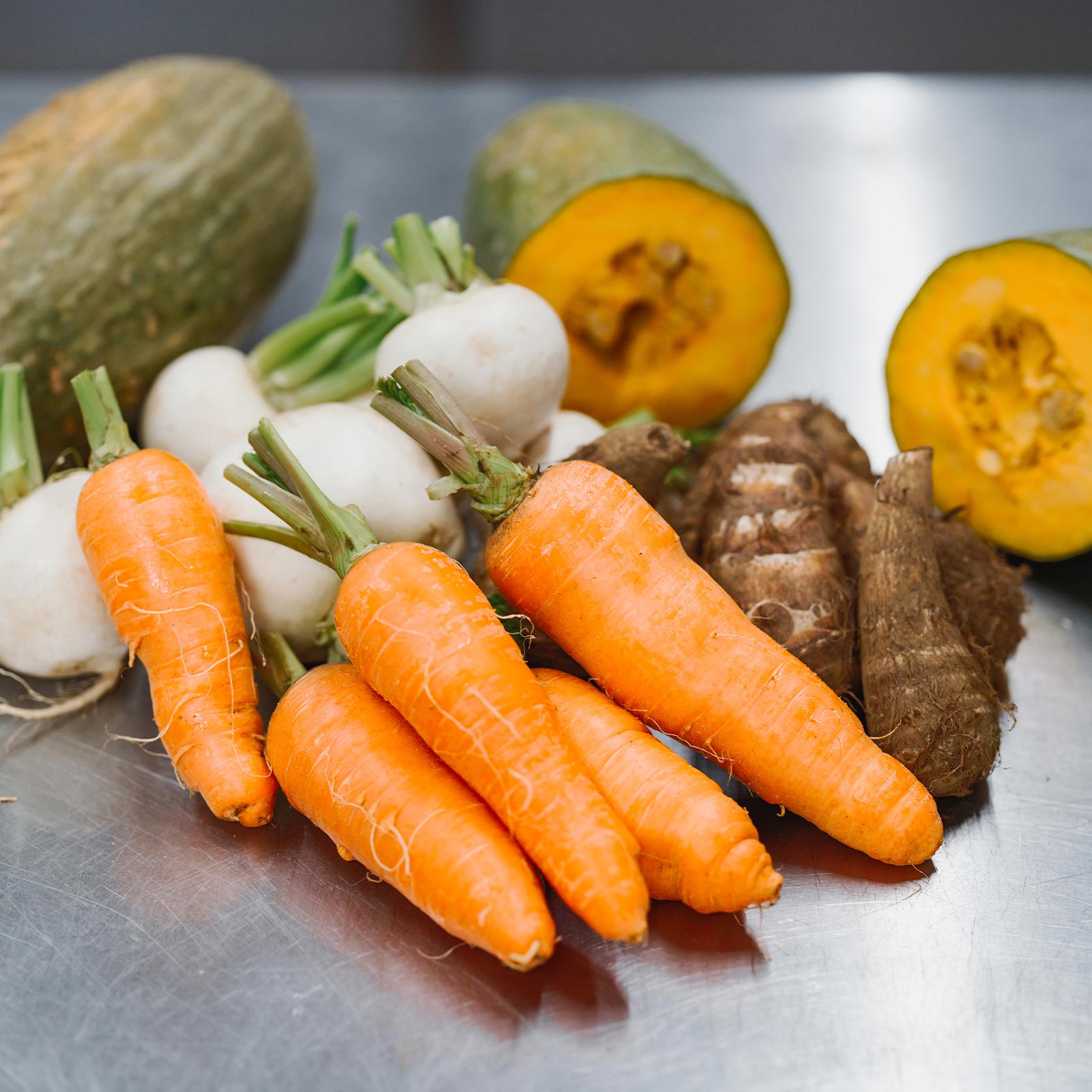 犬用ペットフード - 株式会社ビーブリッジ