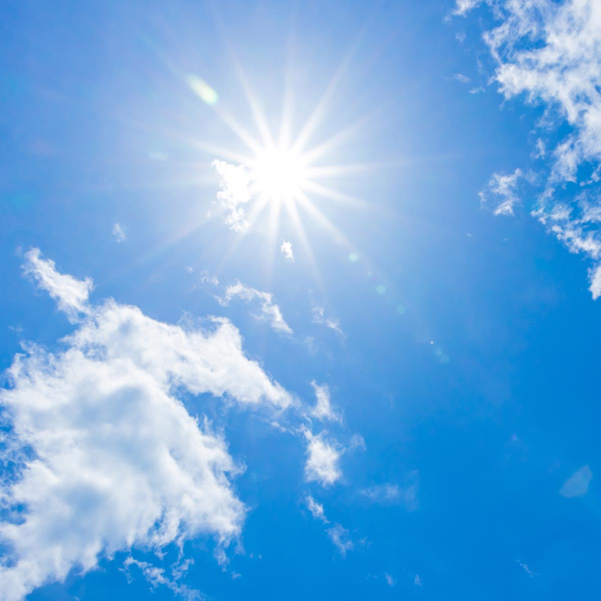 ウインドウフィルム - 有限会社大津商会