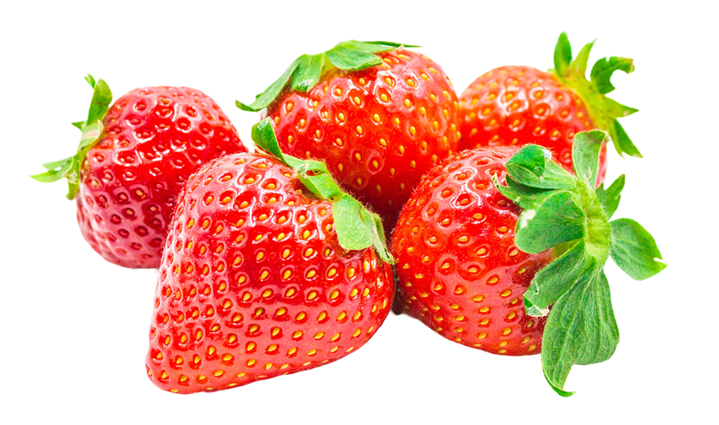 ふんわりパンケーキ - 【Sample Site】株式会社Berry Dot