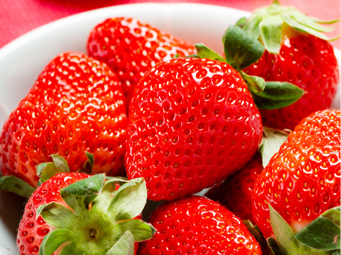 ふんわりパンケーキ - 【Sample Site】株式会社Berry Dot