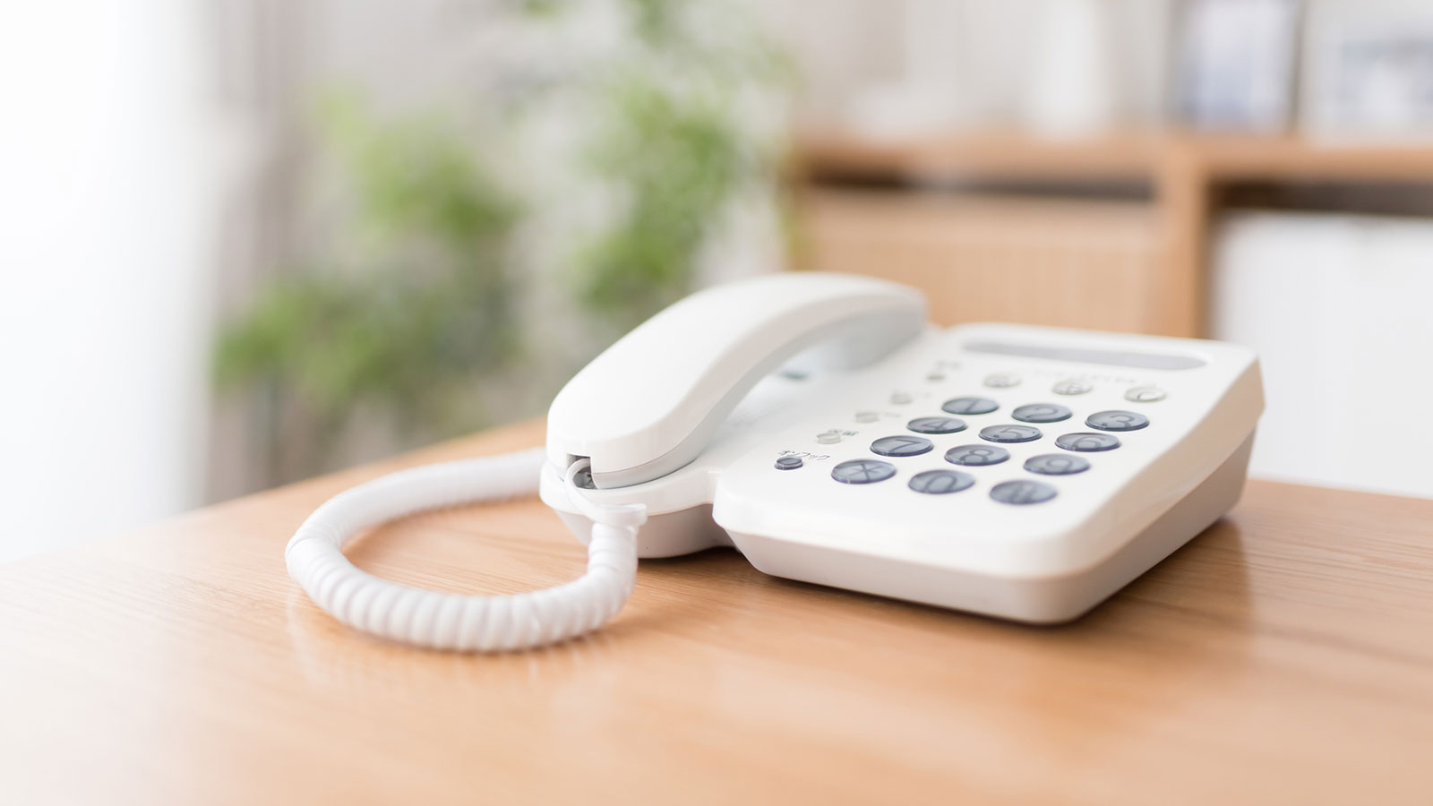 永代供養墓 - 宗教法人　龍善寺