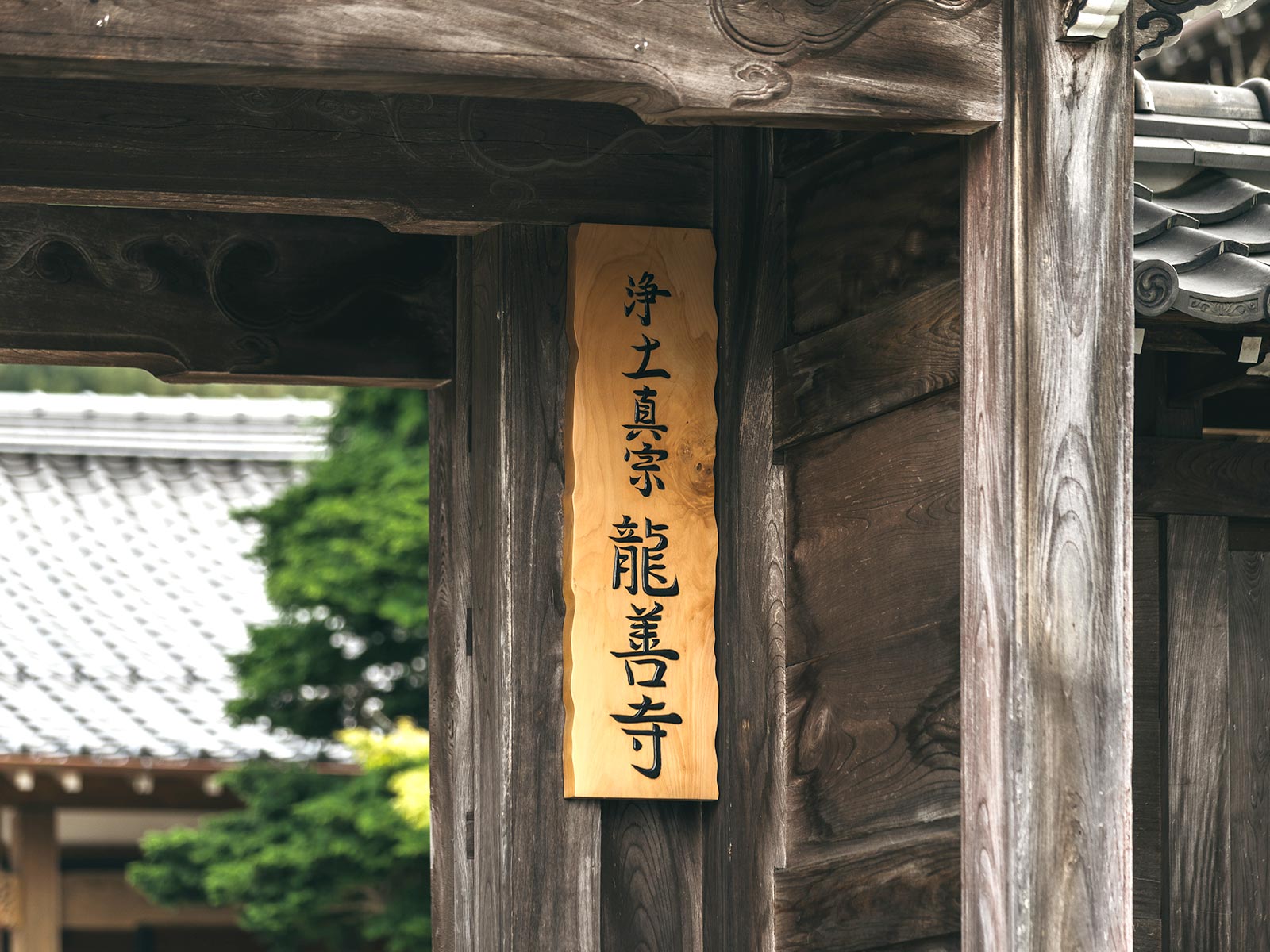 寺院紹介 - 宗教法人 龍善寺