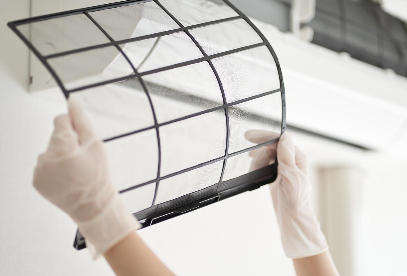 クリーンプラス - クリーンプラス