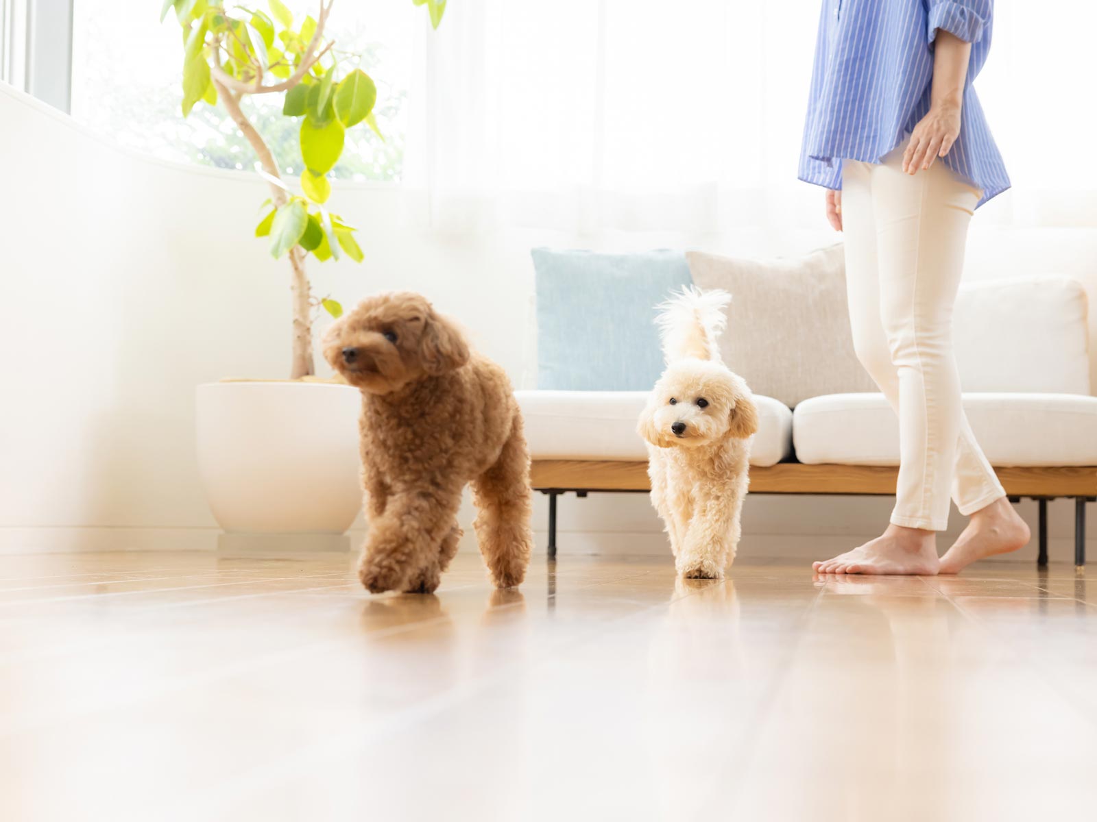 リフォーム - キュアテック株式会社