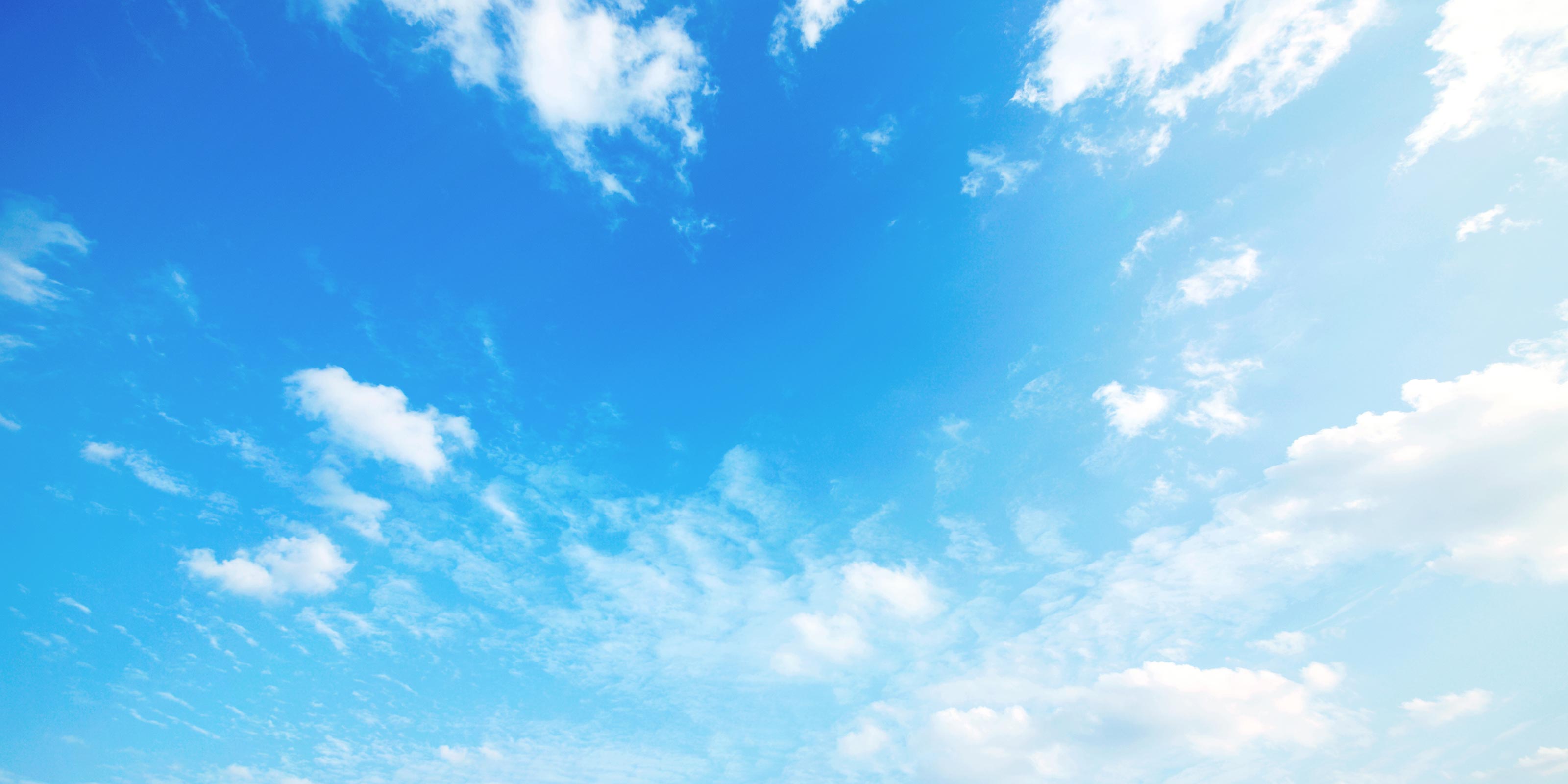 買取事業 - 株式会社M.Y