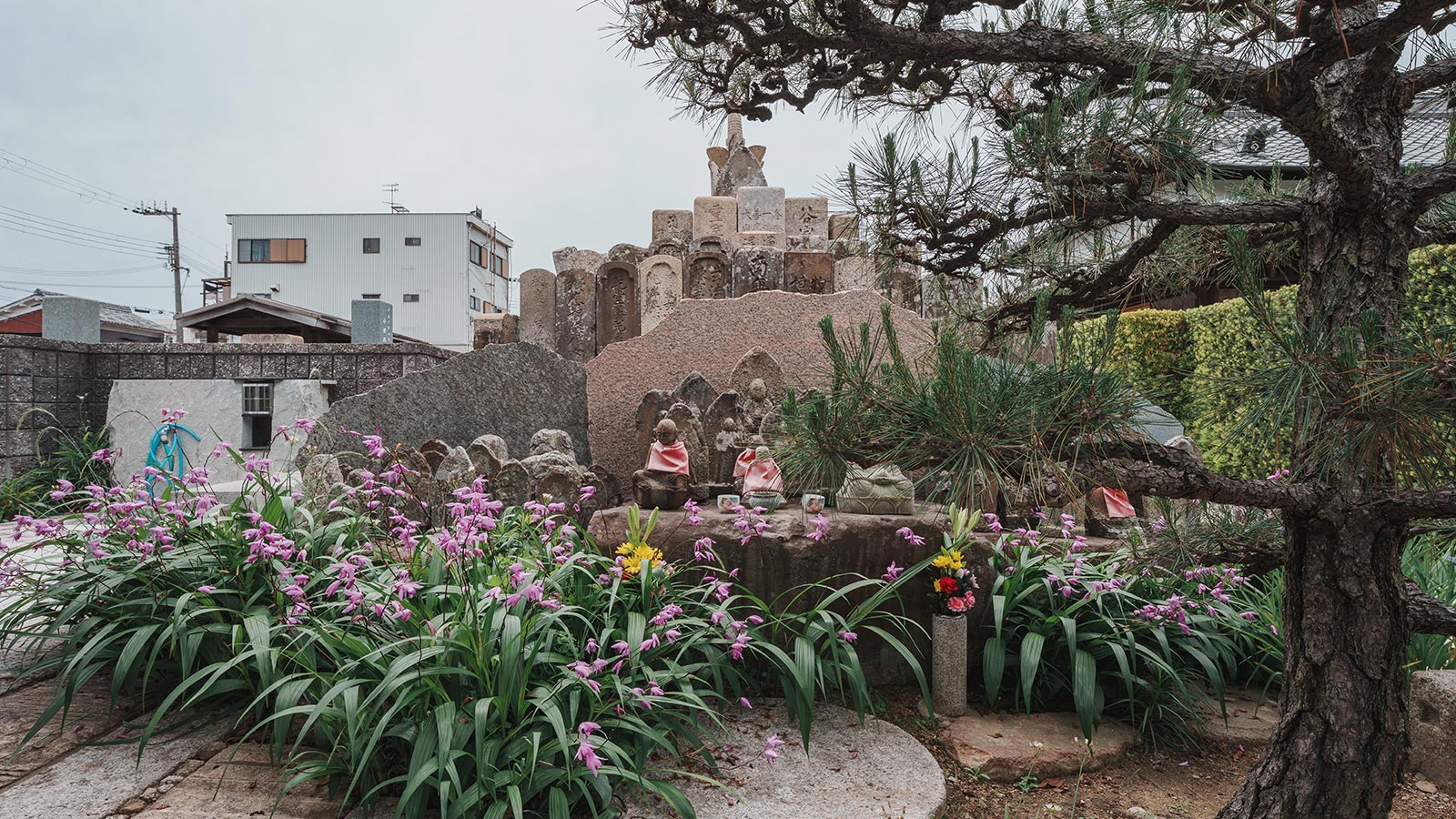 TOPページ - 龍谷寺