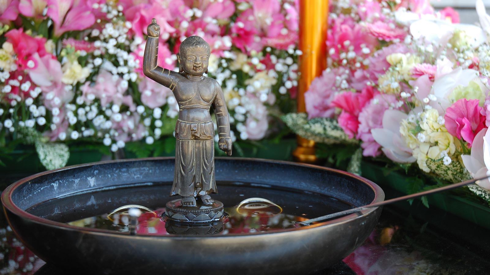 年間行事・法要 - 龍谷寺