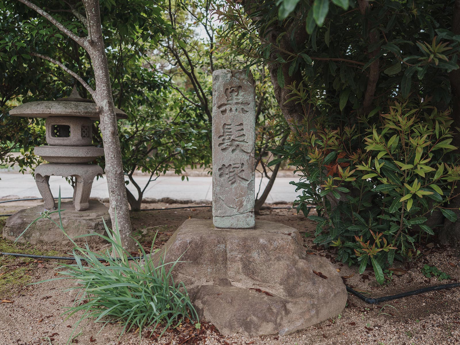 TOPページ - 龍谷寺