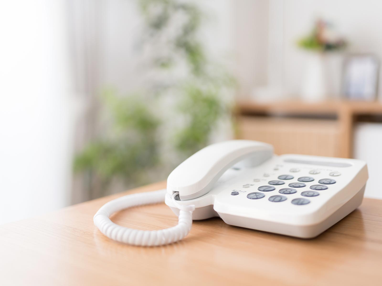 ペット供養 - 龍谷寺