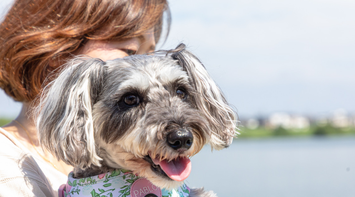 結婚相談 - レイクタウン結婚相談所ミナ婚