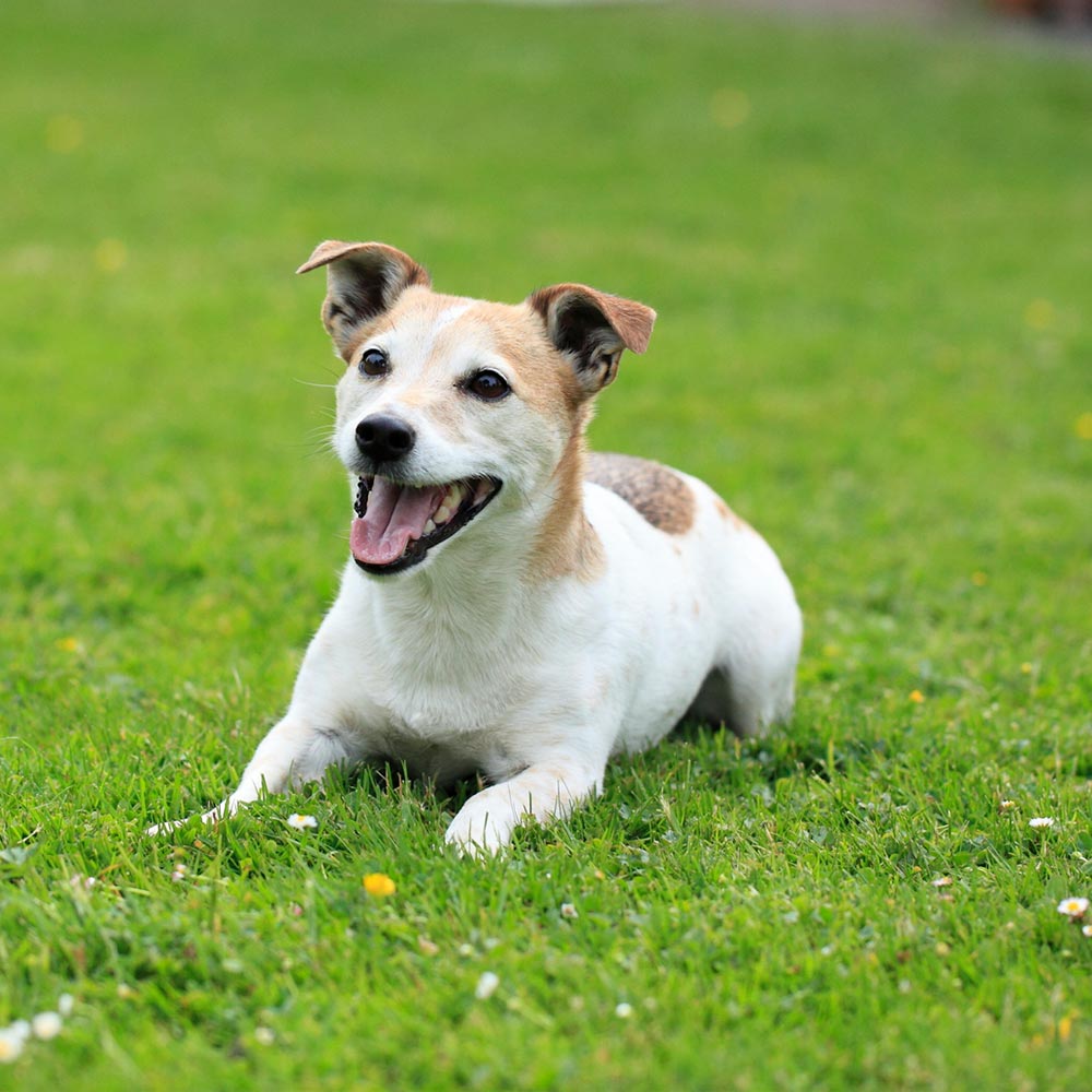 株式会社彩風 - 株式会社彩風