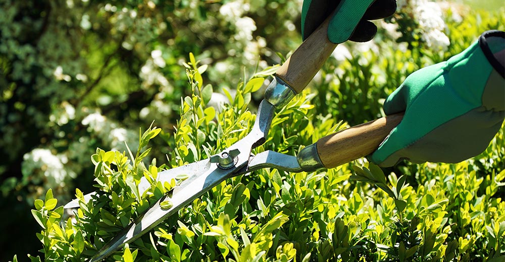 株式会社彩風 - 株式会社彩風