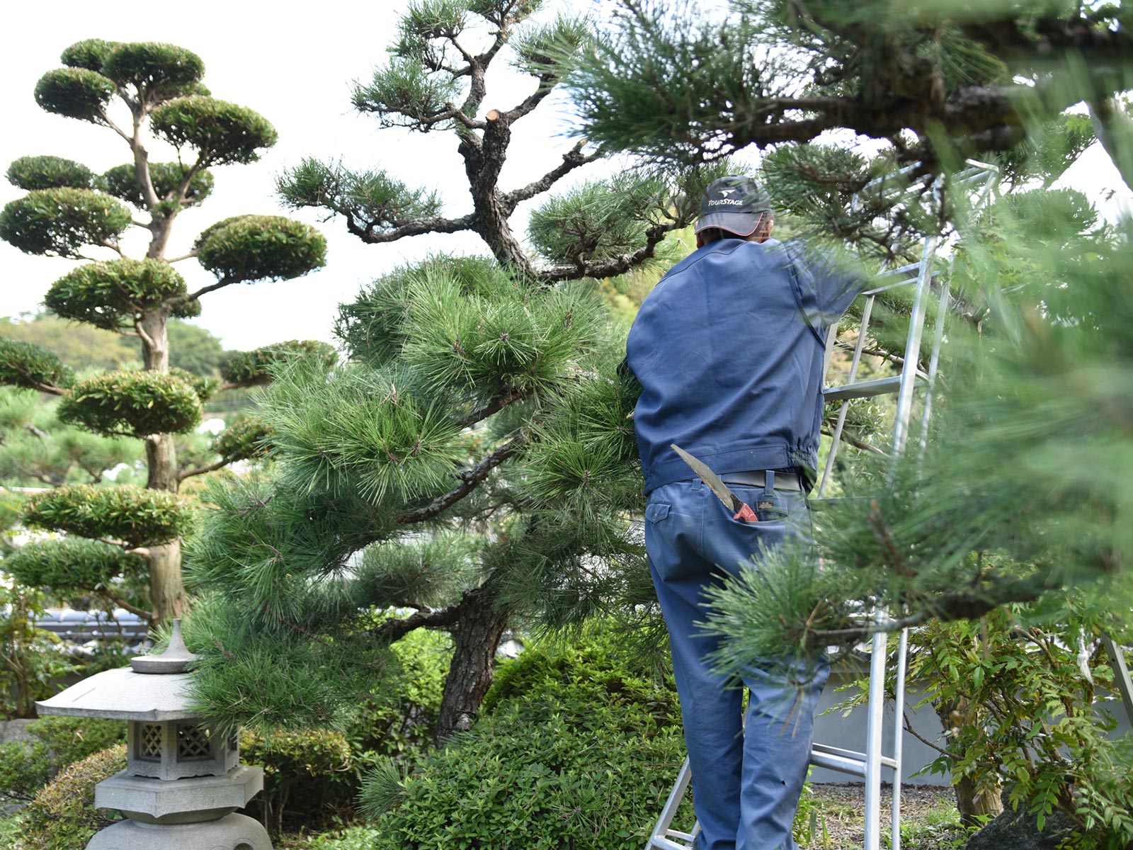 株式会社彩風 - 株式会社彩風