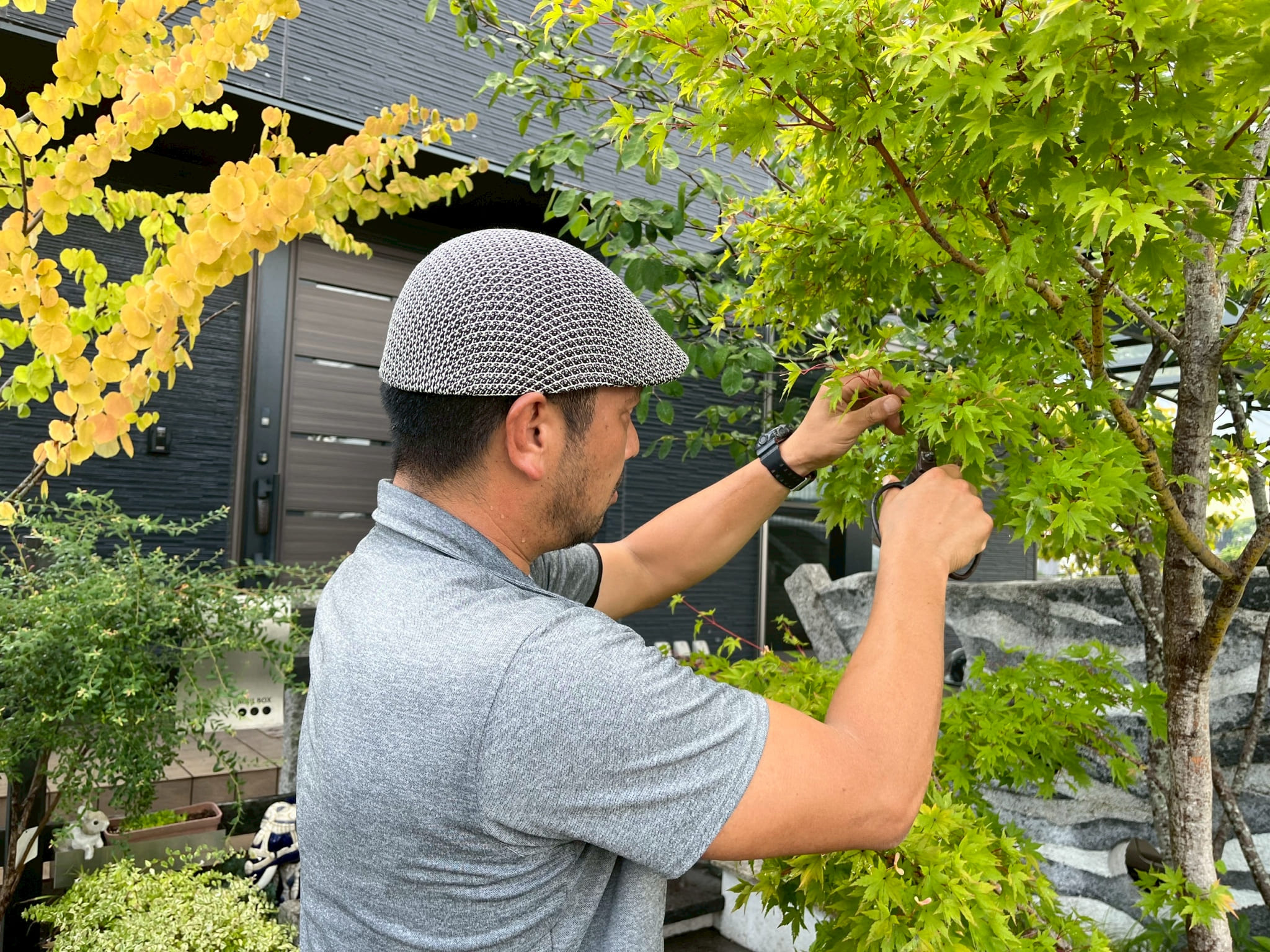 株式会社彩風 - 株式会社彩風