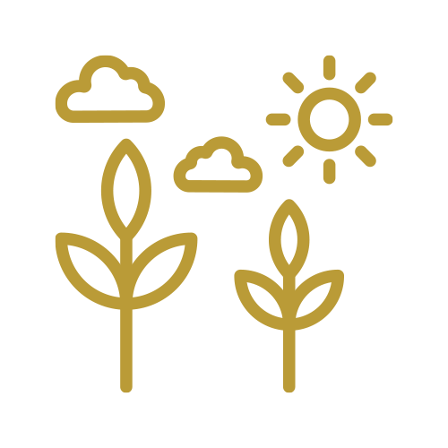 サービス紹介 - 株式会社彩風