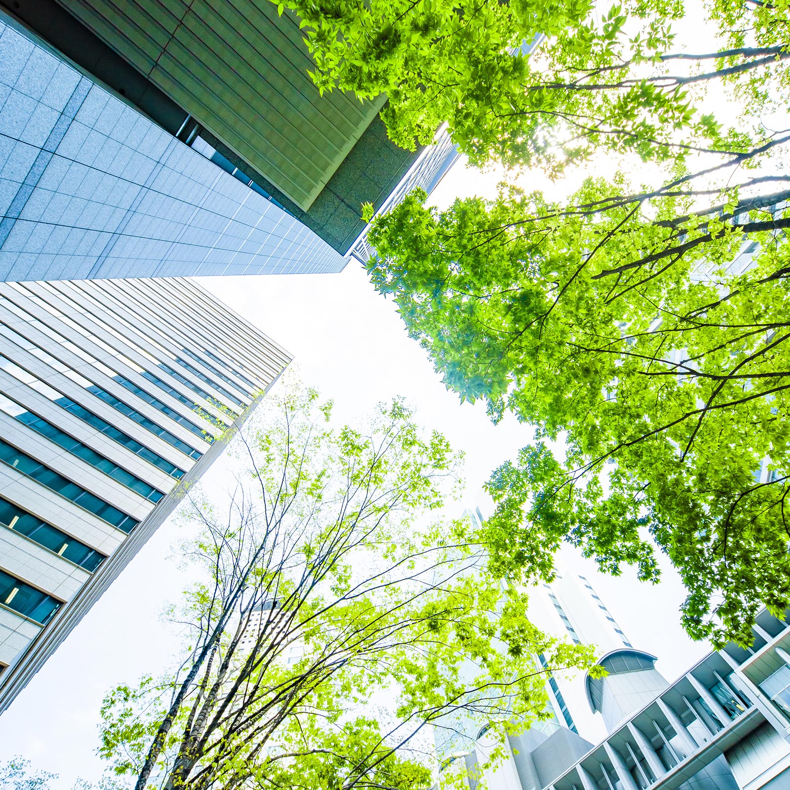 在留資格・ビザ申請 - 行政書士オフィスやまなみ