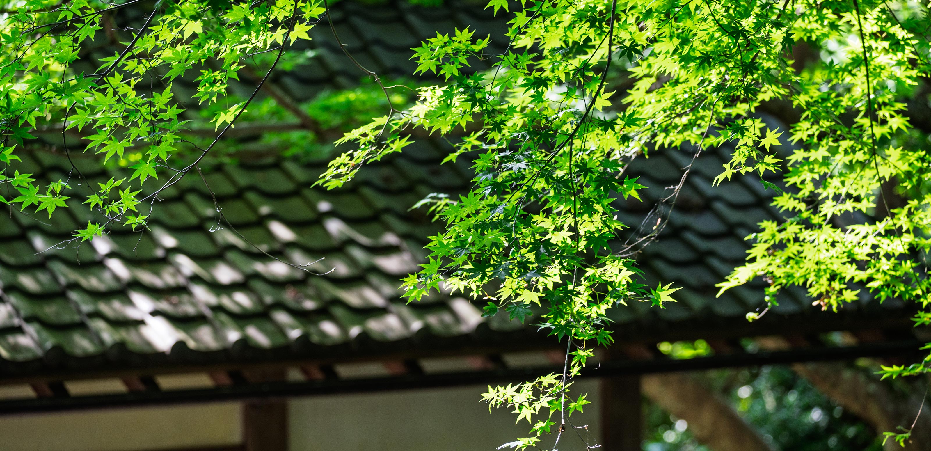 淨流寺の歴史 - 宗教法人淨流寺