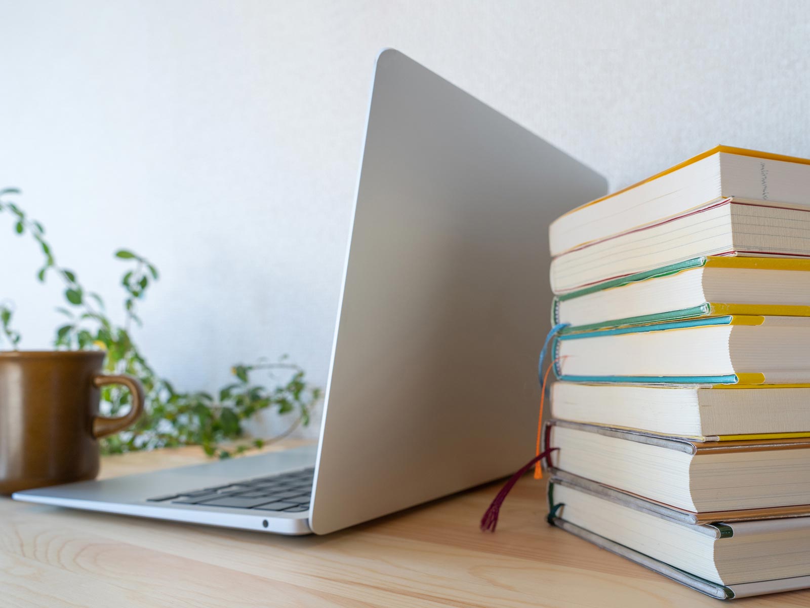 カウンセリング - Calm