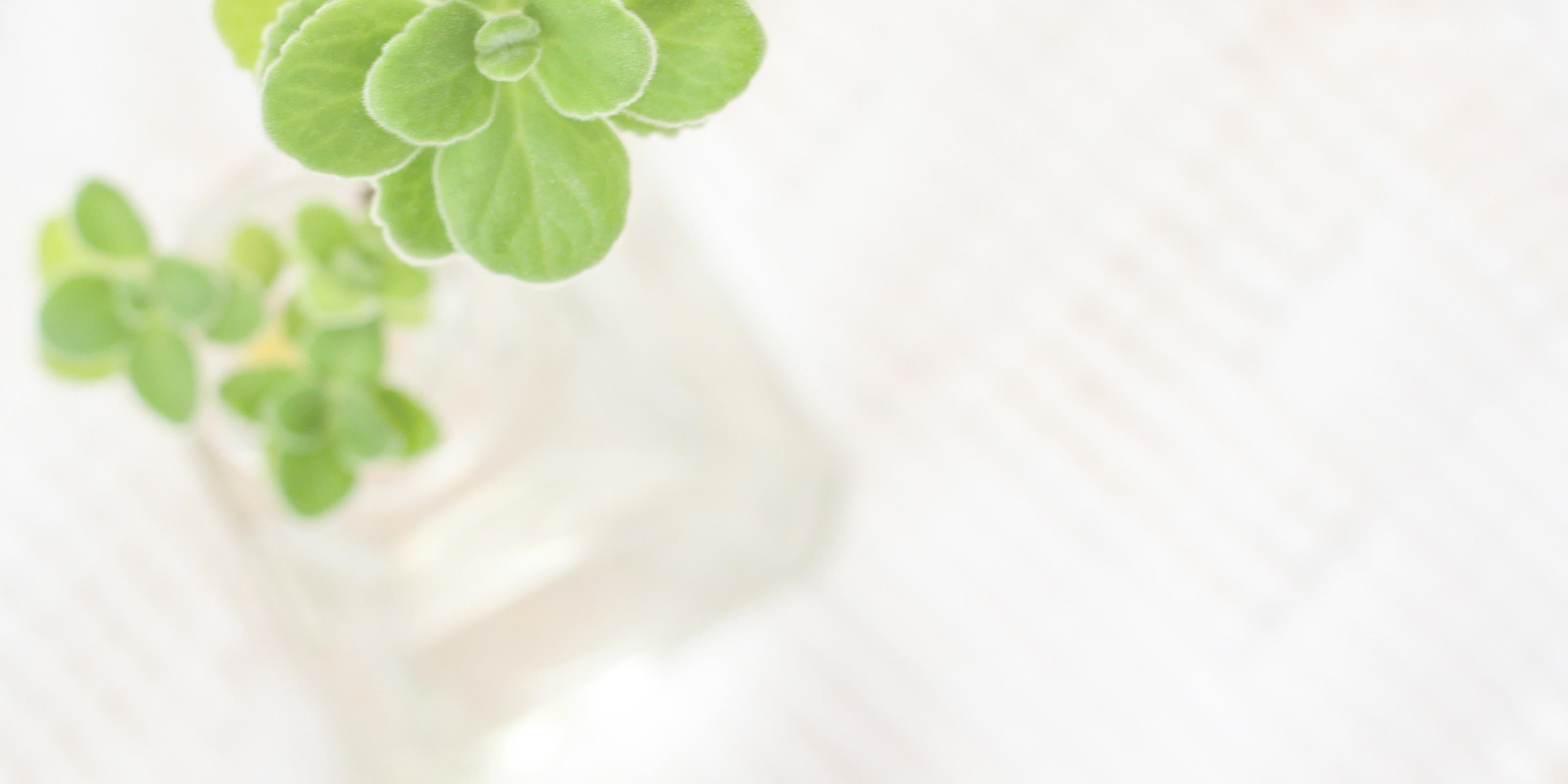 カウンセリング - Calm