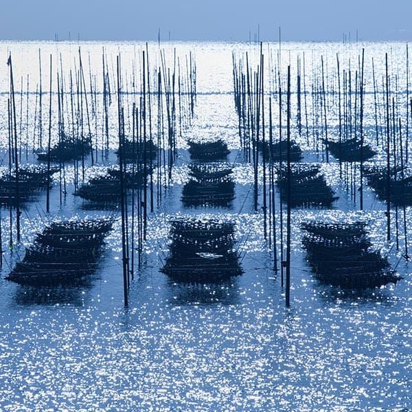 海苔・お茶の御販売 - 山丸海苔店